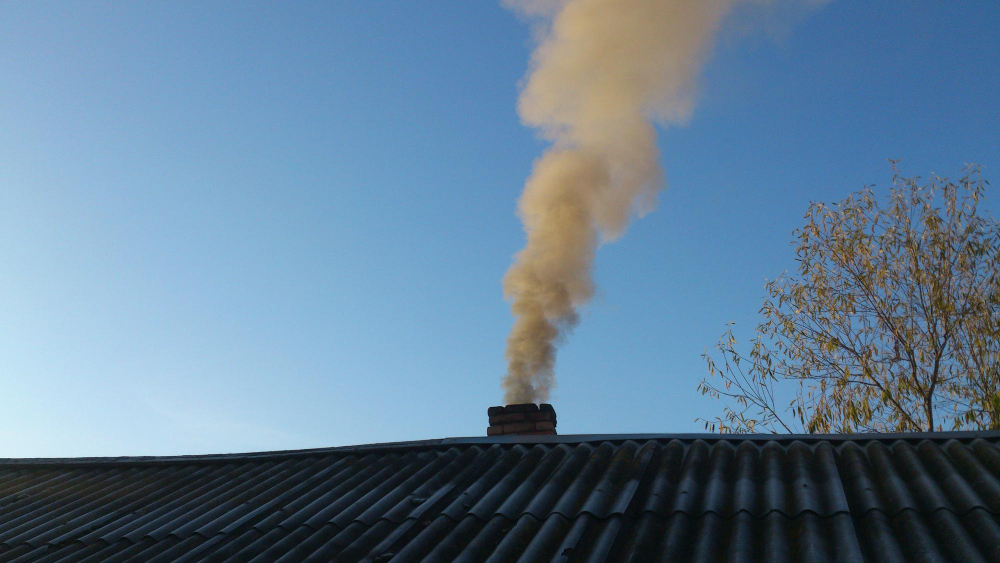 Jak funguje ekologická synergie